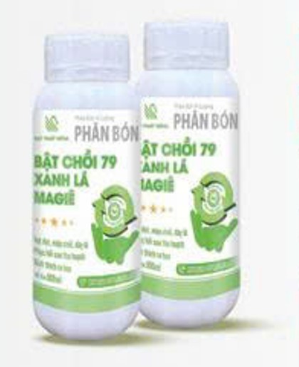 Bật Chồi 79 Xanh Lá - Magiê
